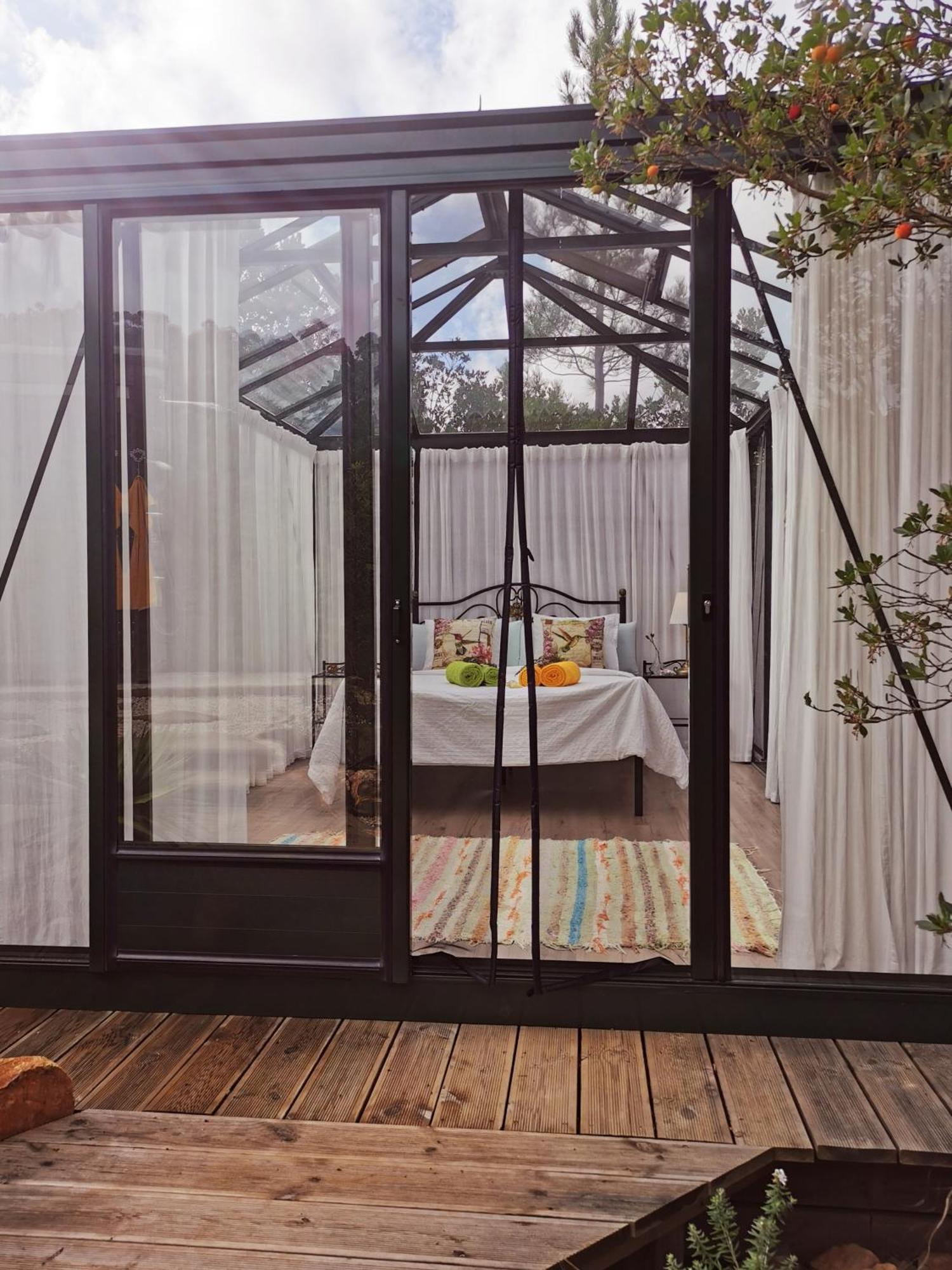 Romantic Skyview Glasshouses 里戈尔 外观 照片