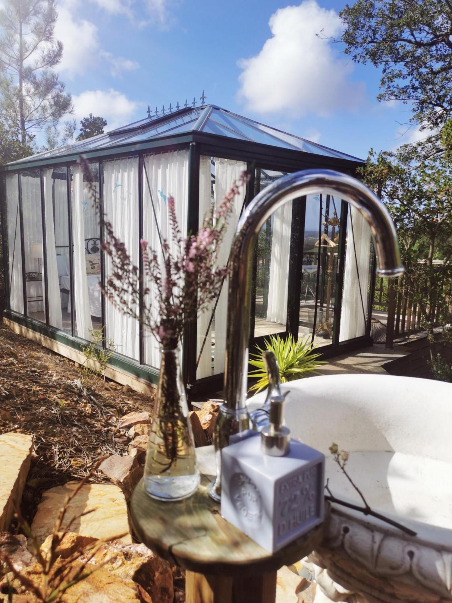 Romantic Skyview Glasshouses 里戈尔 外观 照片