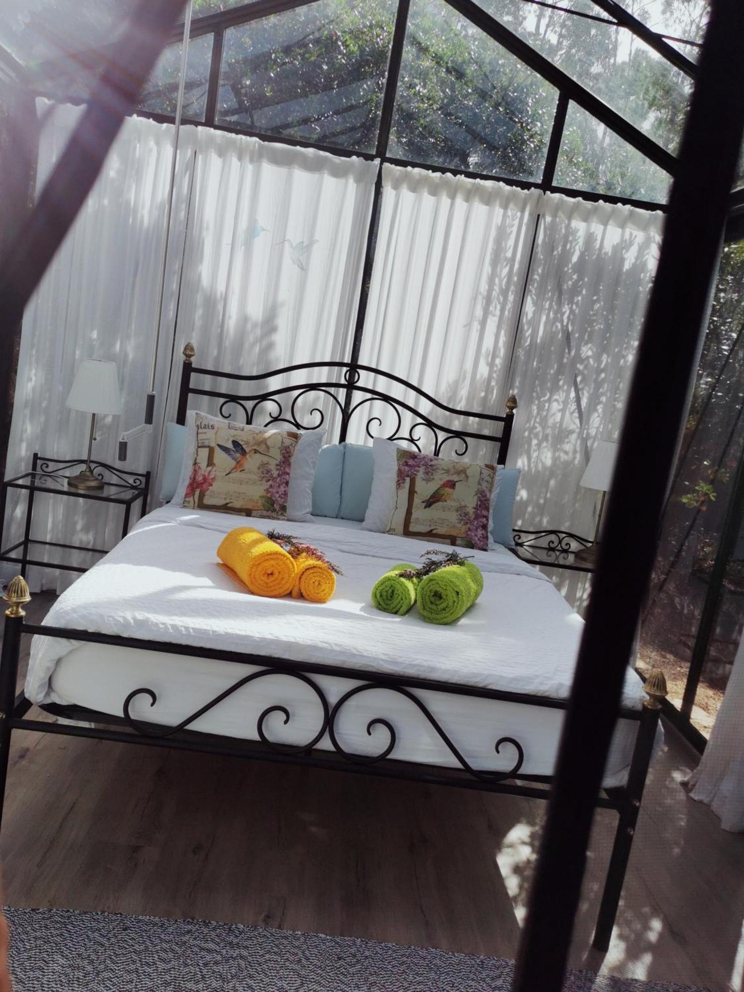 Romantic Skyview Glasshouses 里戈尔 外观 照片